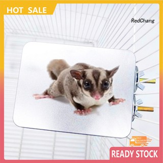 Tổ Làm Mát Cho Chuột Hamster