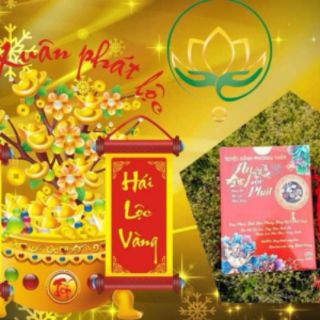 BỘT THẢO DƯỢC PHONG THỦY ALOFA