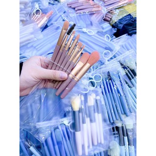 set cọ 8 cây