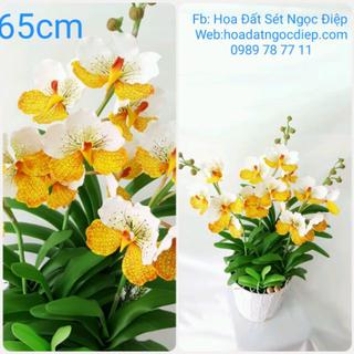 BỘ GÂN LÀM  CÁNH  HOA LAN VANDA LƯỚI (3C)