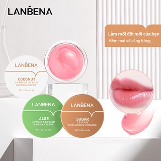 Mặt nạ môi Lanbena Tẩy tế bào chết Dưỡng ẩm cho môi Plumper Son dưỡng môi Hoa hồng / Đường / Lô hội / Dừa Chăm sóc môi