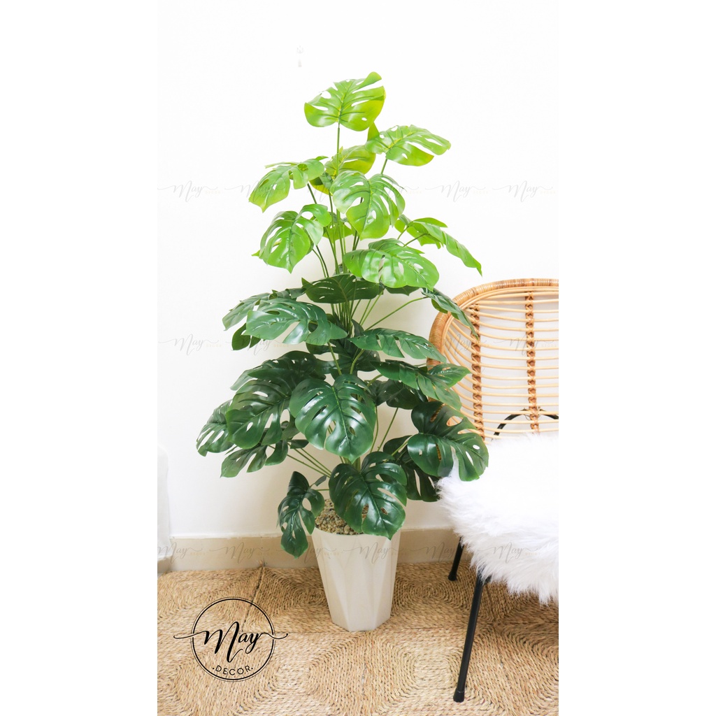 Cây giả,Cây môn cao cấp kèm chậu cao 80cm, 1m2