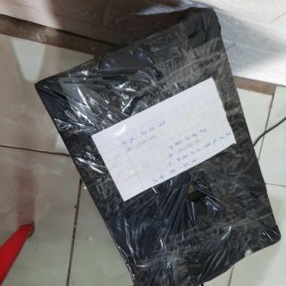 Giày thể thao nữ