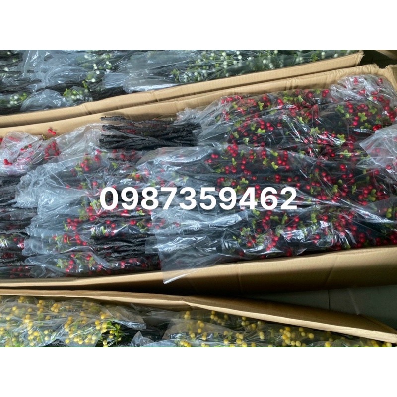 Cành bi mút trang trí nhà cửa hót hit mẫu mới 2022 (xưởng chuyên sỉ)