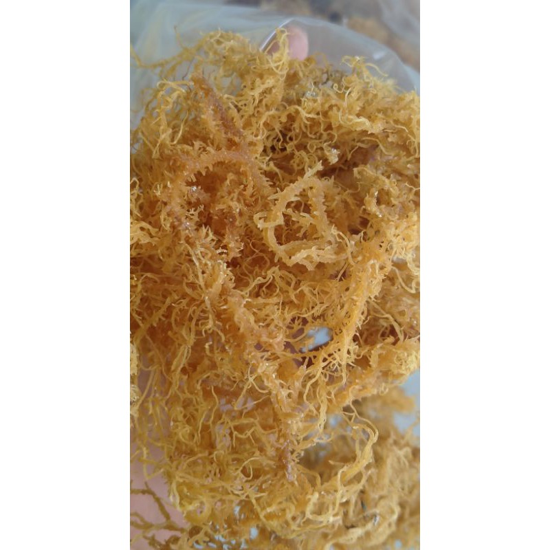 Rong sụn gai khô 100gr