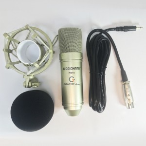 Micro thu âm Studio Woaichang PM10 cao cấp