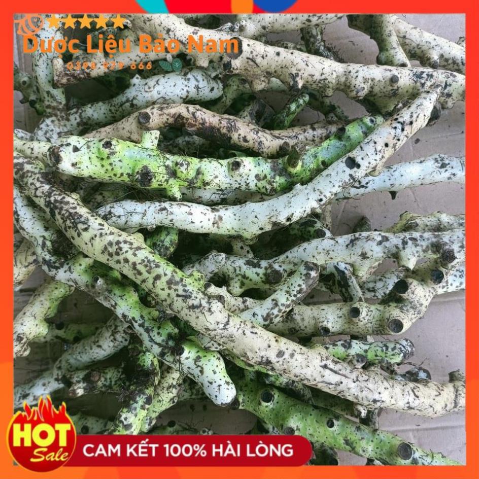 Tắc Kè Đá  tươi Tây Bắc 1kg