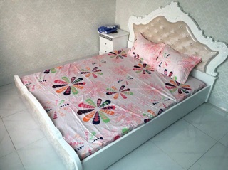 Bộ ga chun và 2 vỏ gối