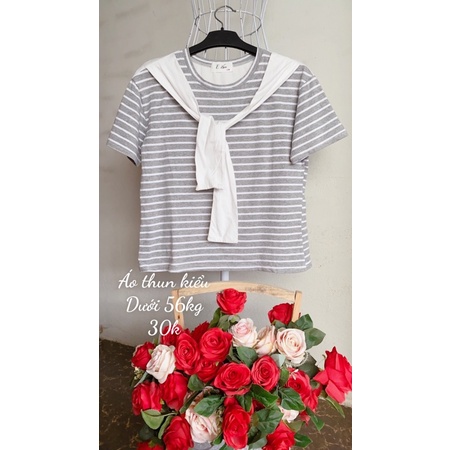 Áo  thun mongtegi kiểu