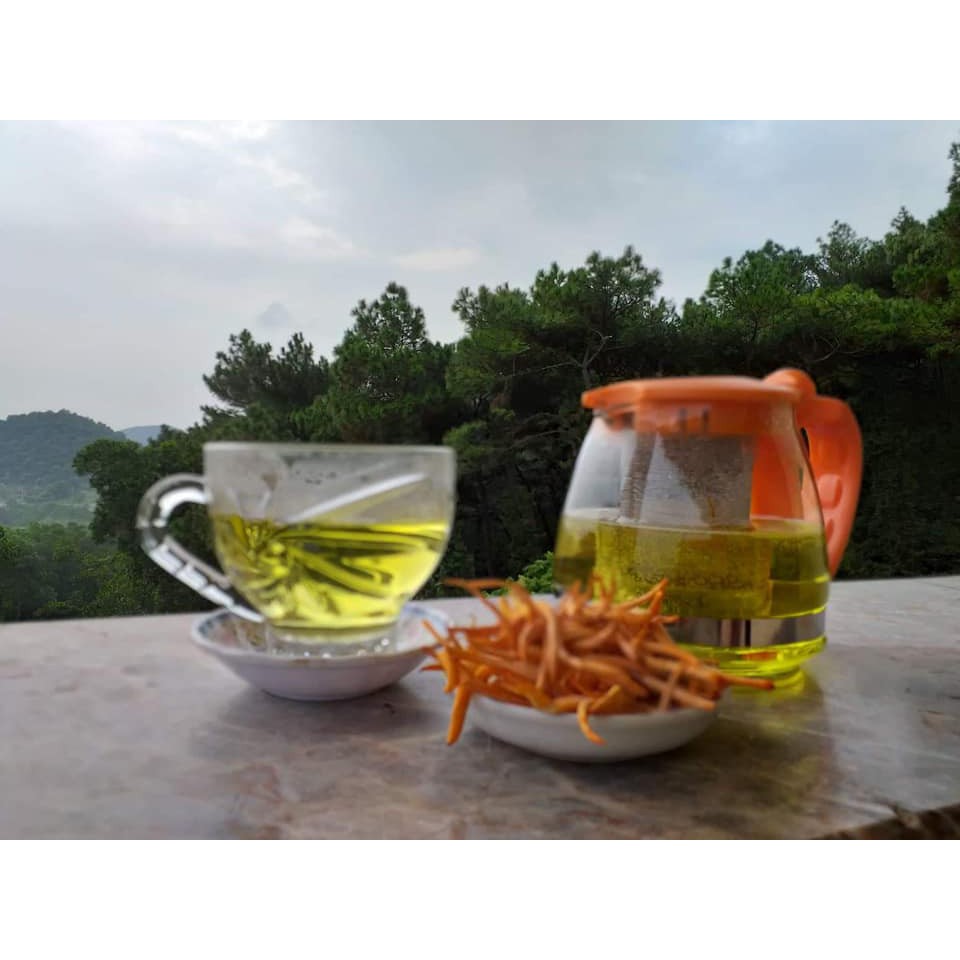 Combo 20 Con Đông Trùng Hạ Thảo Nguyên Con