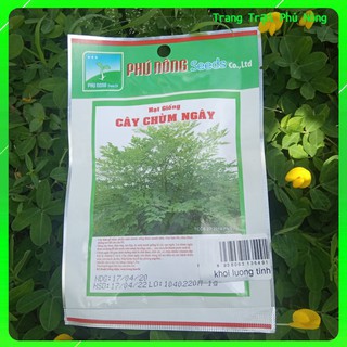 Hạt Giống Cây Chùm Ngây Phú Nông - Gói 1g