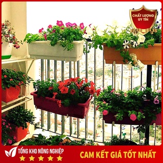 Móc treo ban công 2 tầng trồng rau trồng hoa
