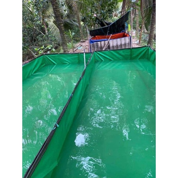Bể bạt nuôi ốc ếch cá lươn chạch 4x3x1 - xanh bộ hà quốc
