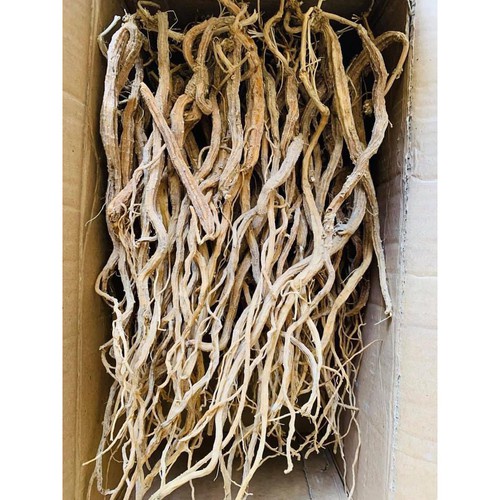 Cao sâm dây Ngọc Linh Kontum 100g