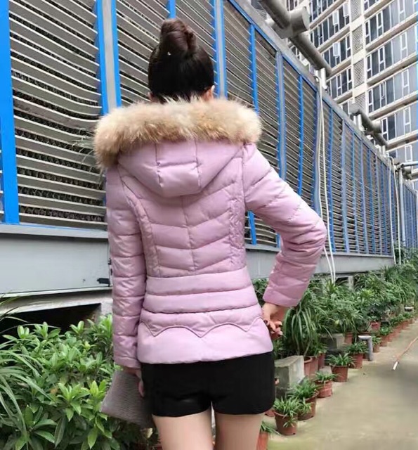 Áo phao ngắn cao cấp