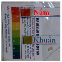 Que thử viêm nhiễm phụ khoa nhanh nhạy que test viêm âm đạo hàng chất - ảnh sản phẩm 7