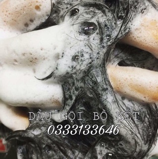 Dầu gội bồ kết