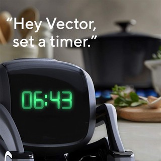 Robot Anki Vector