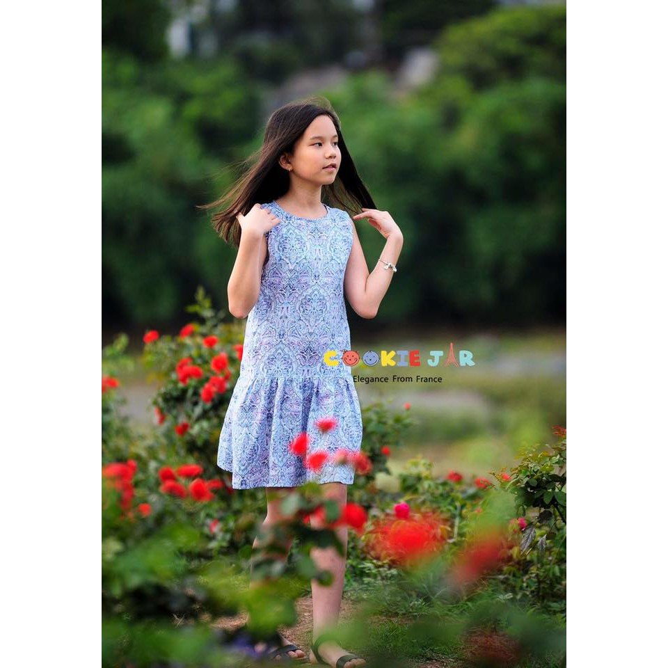 Váy hạ eo cookie jar