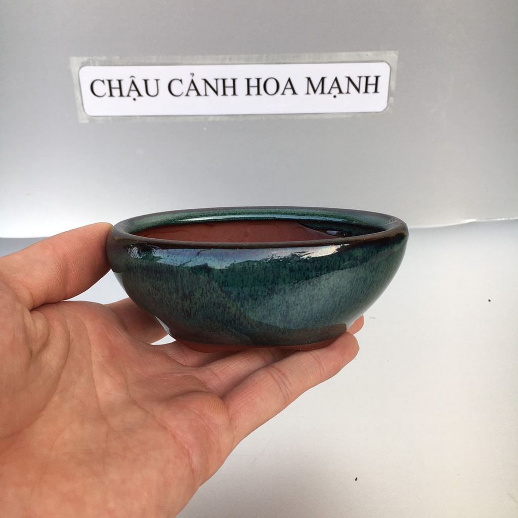 Chậu Ovan bonsai sen đá mini màu Xanh ngọc hoả biến gốm Bát tràng 1 size SP380