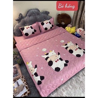 [Giá Siêu Rẻ] Sét Chăn Ga 5 Món Cotton Poly (chat để chọn màu, kích thước)