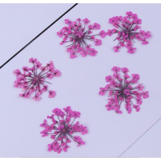 SET 12 Bông Hoa Queen Anne's Lace - Hoa Tuyết Pha Lê Làm Trang Sức