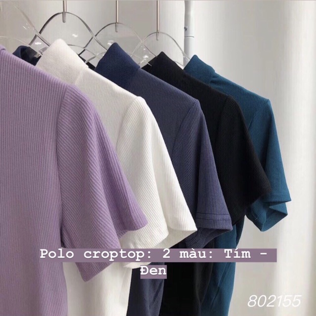 Áo polo tăm