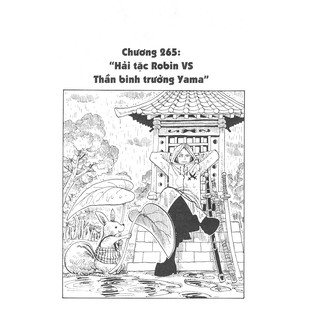 Sách - One Piece - Tập 29