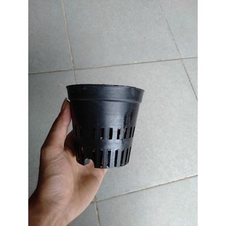 30 Chậu lan đen fi 10