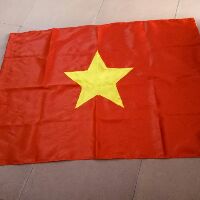 (Rẻ Vô Địch) Cờ tổ quốc nhỏ 80x 100cm