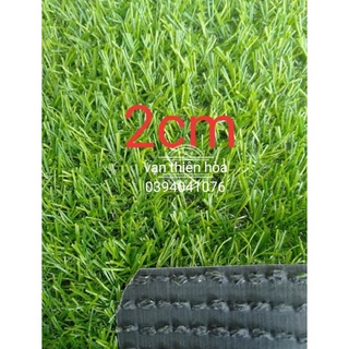 combo 10m thảm cỏ nhân tạo loại1 2cm