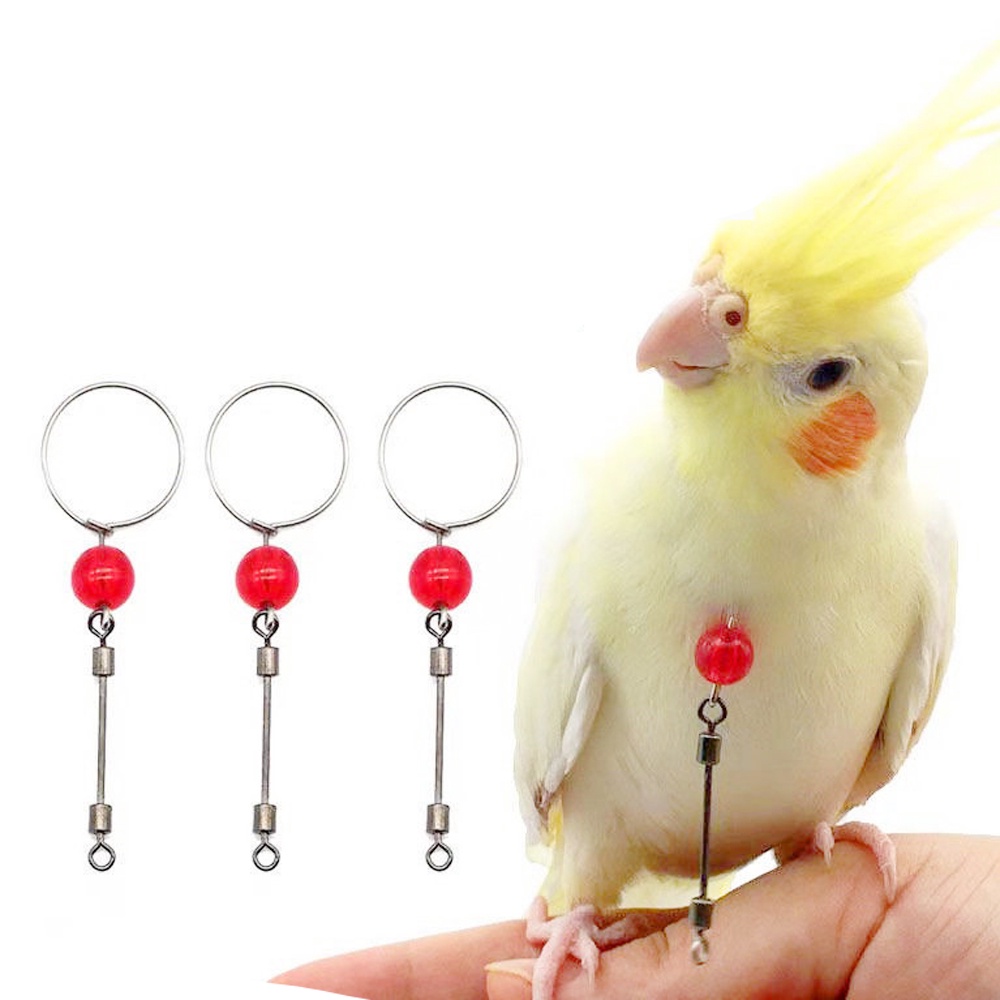 Vòng Huấn Luyện Vẹt Gắn Cổ Tiện Dụng