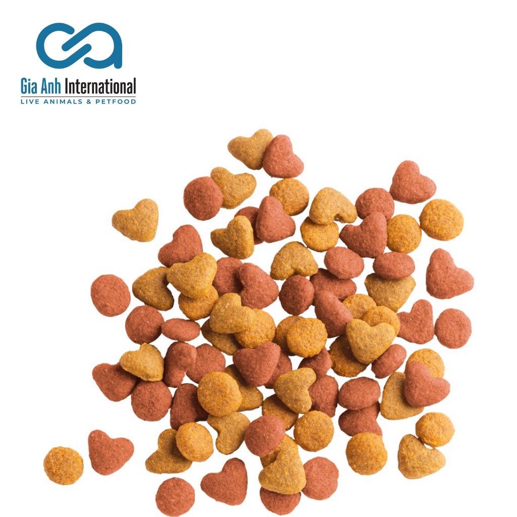 Thức Ăn Hạt Cho Mèo Con Vị Gà - Versele-Laga Lara Junior Giúp Bé Mèo Dễ Tiêu Hoá, Phát Triển Khoẻ Mạnh Gói 350g