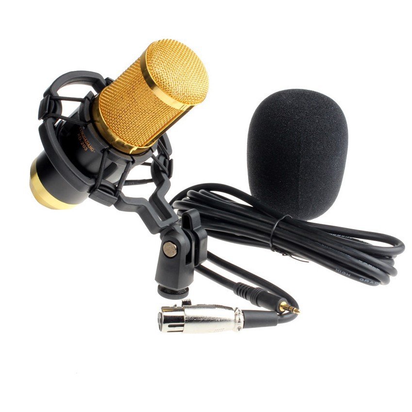 MIC THU ÂM BM 800