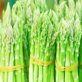 20 Hạt giống măng tây xanh