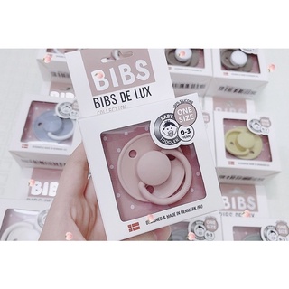 Ti ngậm Bibs silicone (0 - 3 tuổi)