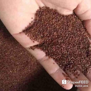 500g ngũ hoa hạt đắp mặt sáng da