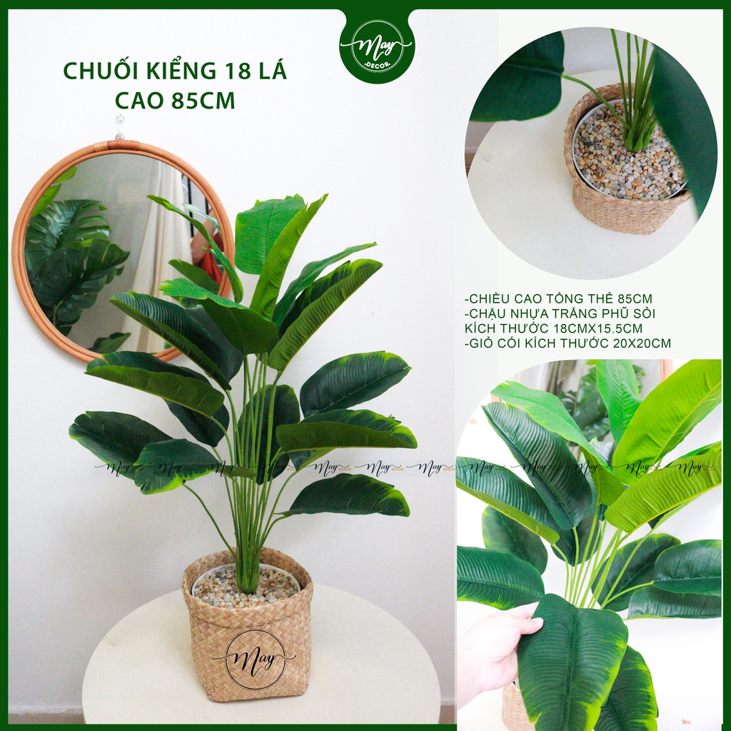 Cây giả, Chuối Thiên Điểu giả trang trí 85,1m3,1m6