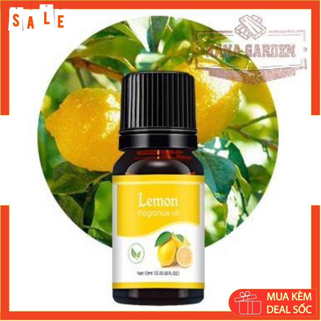 Tinh dầu thiên nhiên Chanh Tươi ( Lemon oil )THƯ GIẢN Thơm Phòng, Khử Mùi
