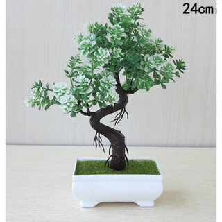 Chậu hoa bonsai phú quý để bàn
