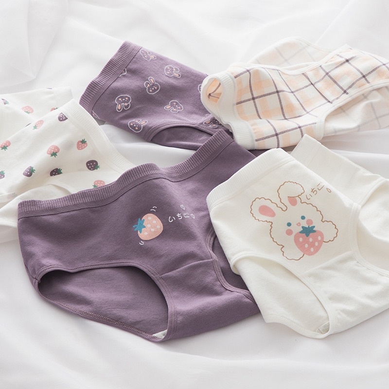 Quần lót cotton cute dễ thương , Quần chip Nữ Lưng thun dễ chịu