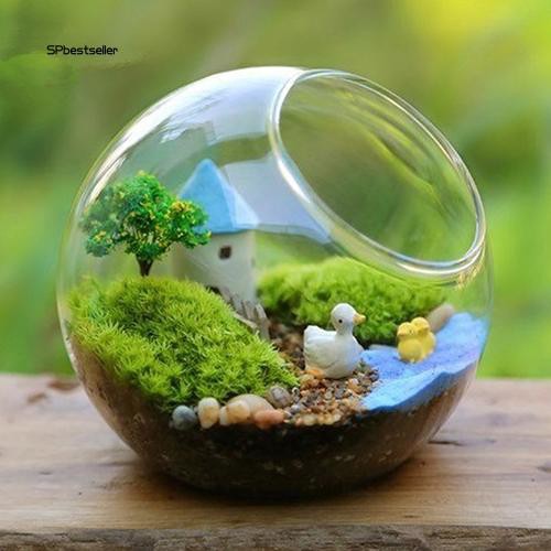 Túi cát xanh dương trang trí vườn cây cảnh