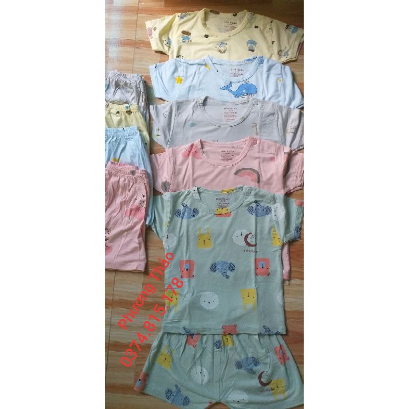 Cộc tay Hn kids mầu