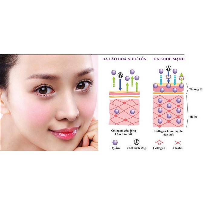 Nước hoa hồng Hadanomy Collagen Mist