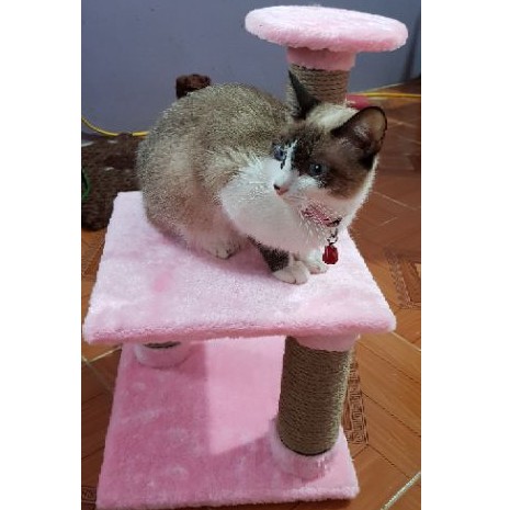 [ CATTREE VIỆT NAM ] Trụ Cào Móng 3 Tầng 😻 FREESHIP 😻 Inbox Shop để được giảm giá