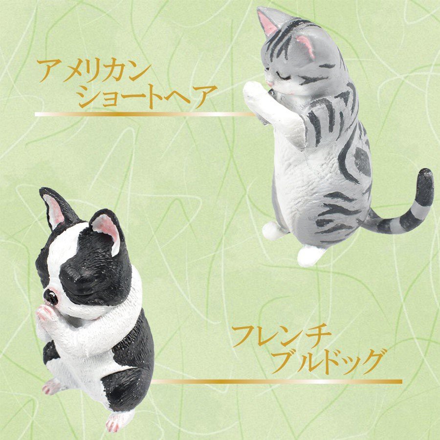 Đồ chơi Gacha động vật cầu nguyện dễ thương 5cm cập nhật thường xuyên HIMECHAN