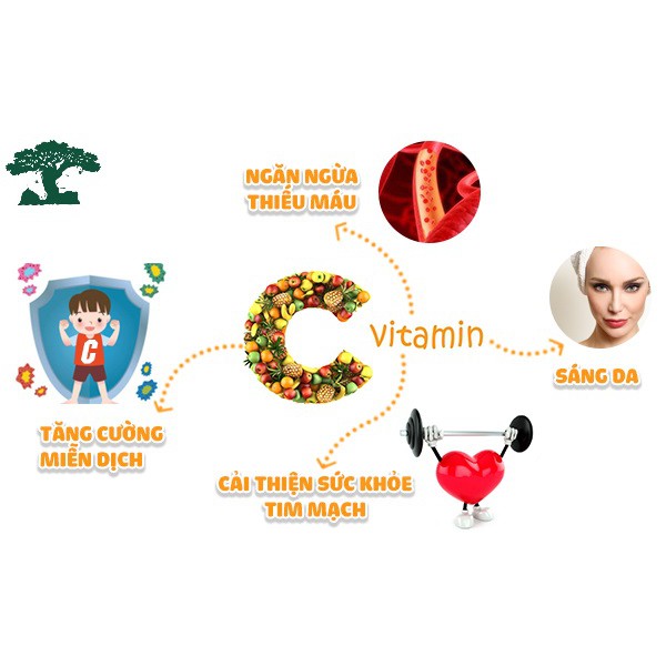 KẸO C CÔNG CHÚA ELSA