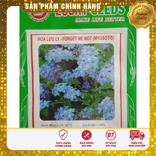 Hạt Giống Hoa Lưu Li(For get me not ) - 50 hạt