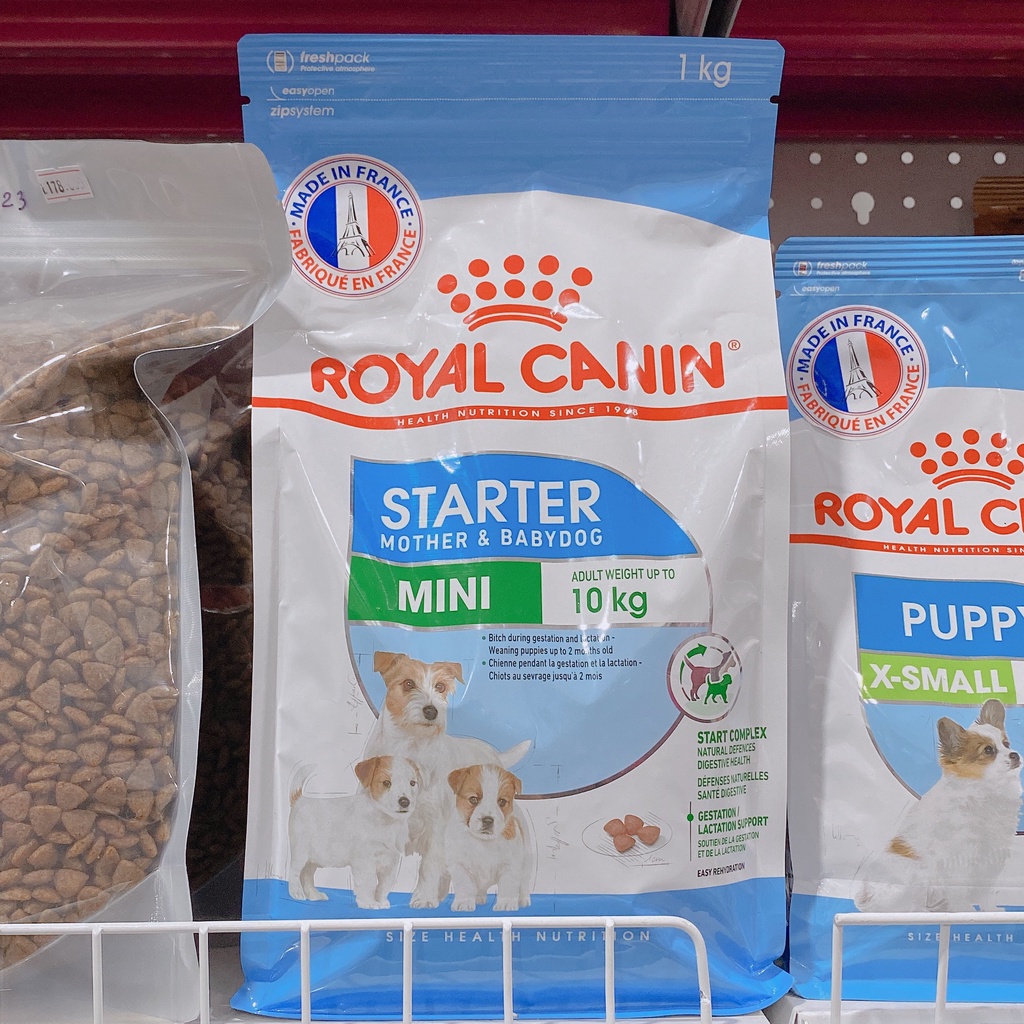 hạt CHÓ Royal Canin mini STARTER MOTHER&BABY DOG 1KG cho chó bầu chó con