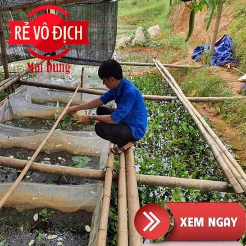 tráng ươm ốc , ếch cá loại -siêu rẻ